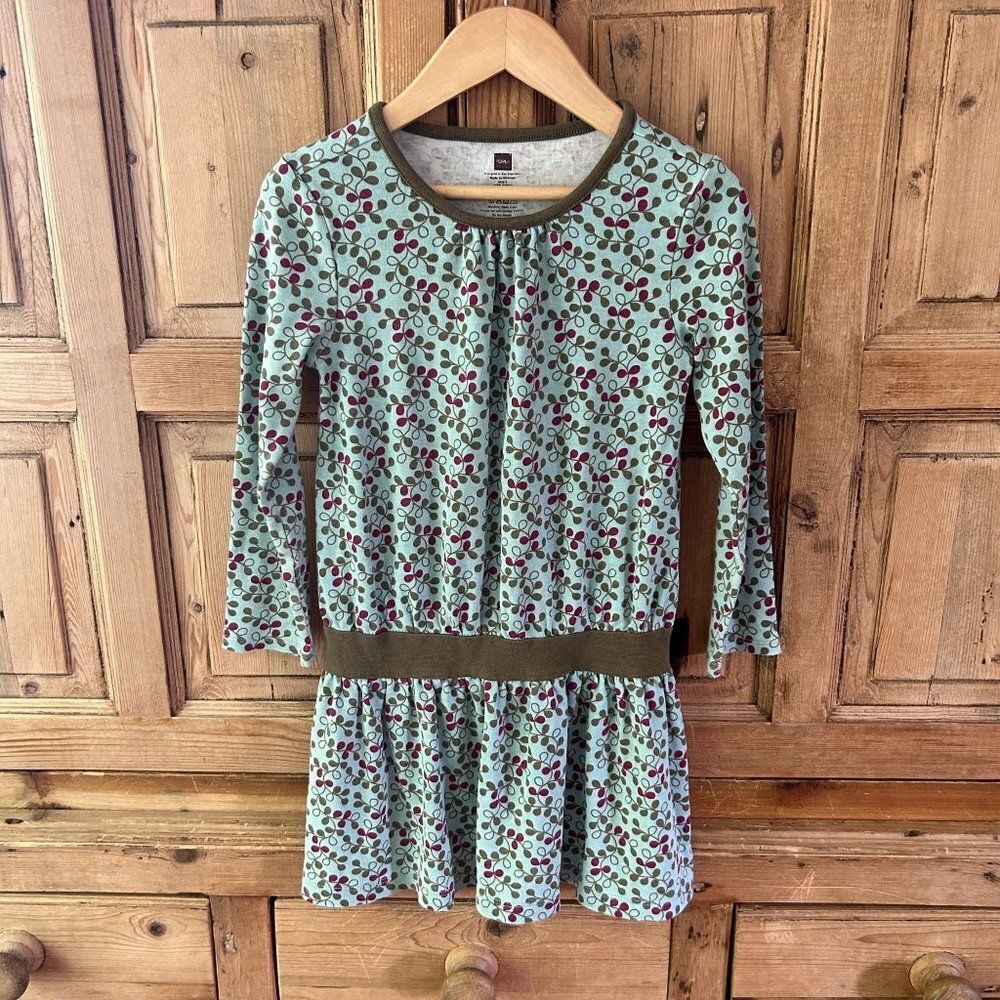 Tea Collection Girl's Size 5 Long Sleeve Dress Green Blue Red Vine Print Casual